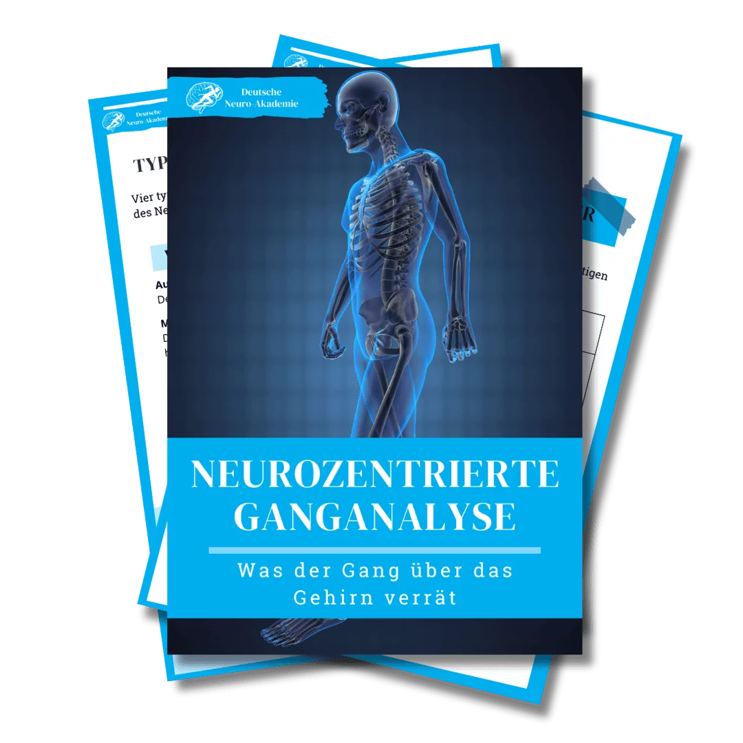 Kostenloses Ganganalyse PDF für Neurotraining, Deutsche Neuro-Akademie, Neuroathletik